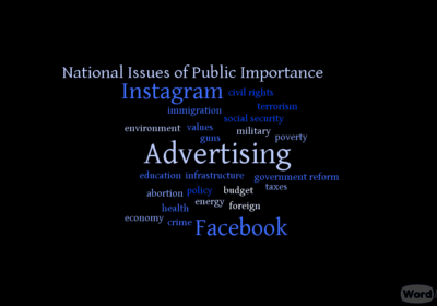 National Issues of Public Importance word cloud