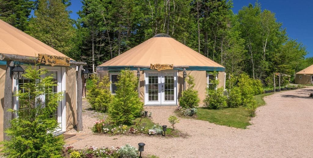 Rustic yurts stand in the Acadia wilderness