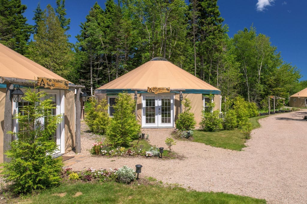 Rustic yurts stand in the Acadia wilderness